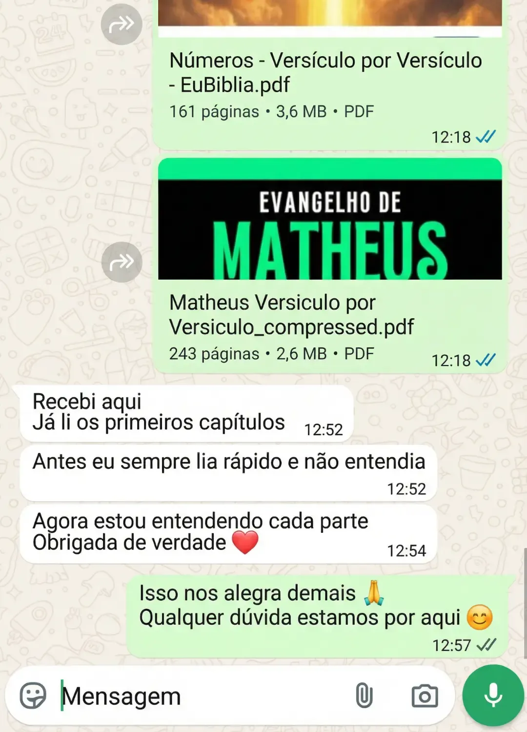Depoimento WhatsApp — Evangelho de Mateus